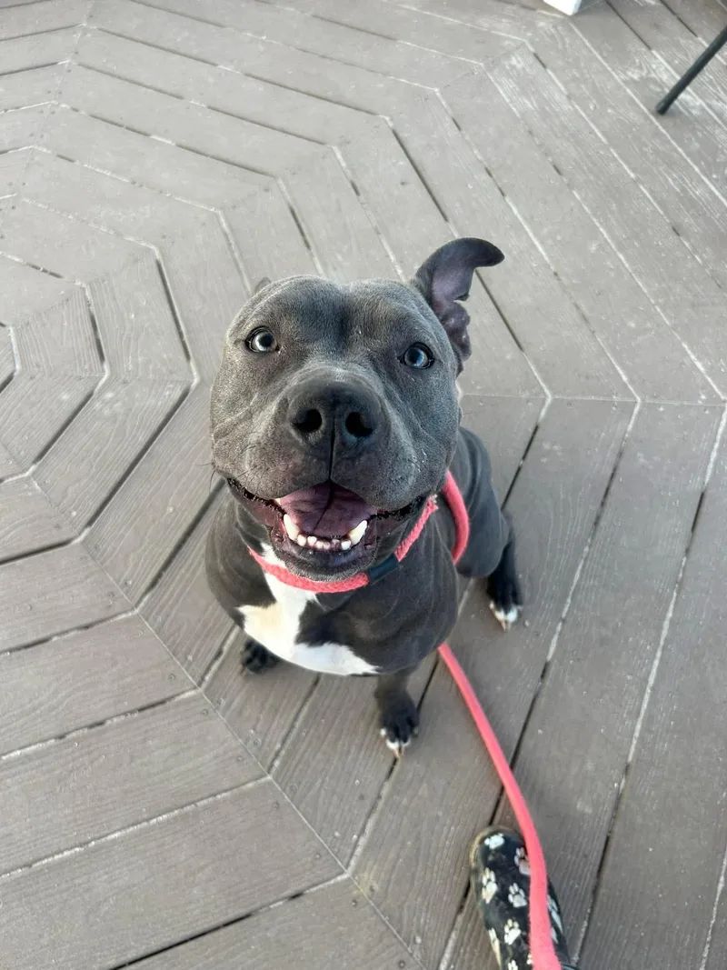 Lady Luck thumbnail 4