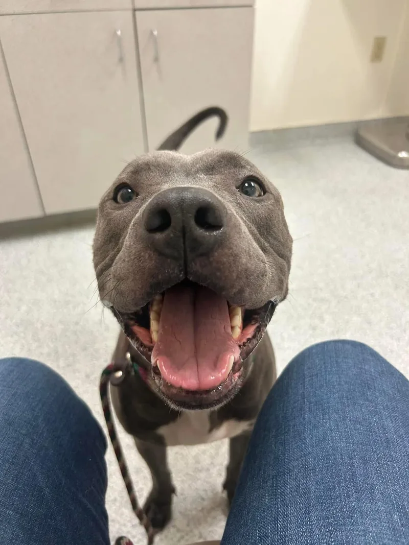 Lady Luck thumbnail 5