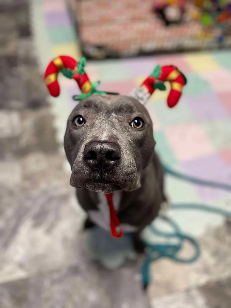 Lady Luck thumbnail 6