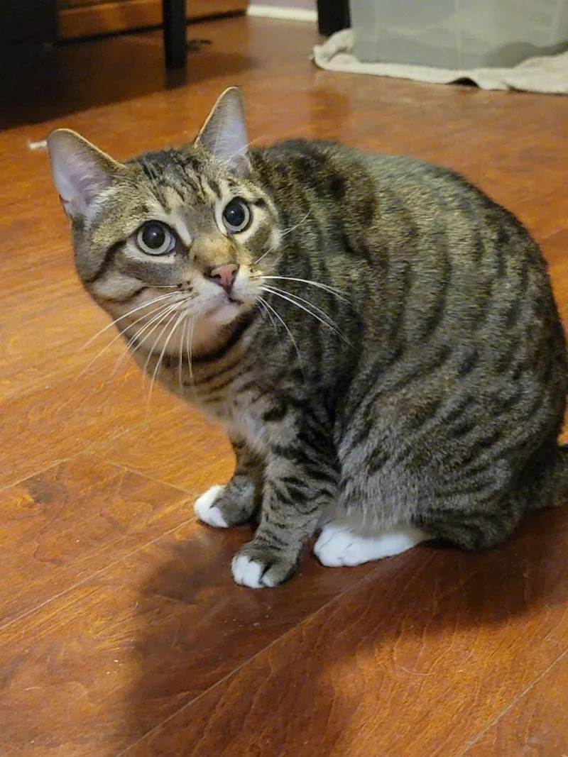 Buddy thumbnail 2