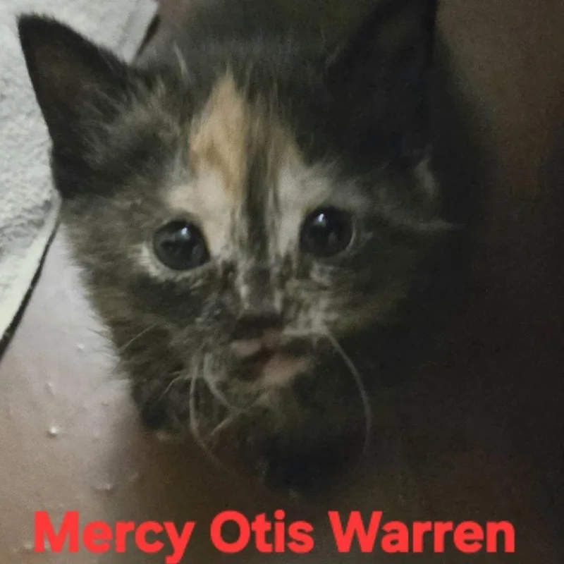 Mercy