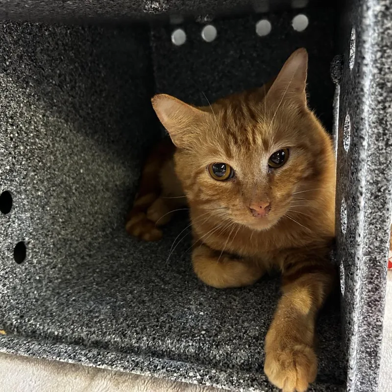 Bethlehem thumbnail 2