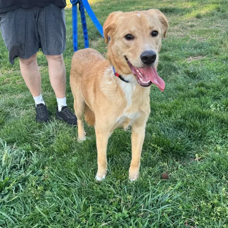 Tenderhoof thumbnail 2