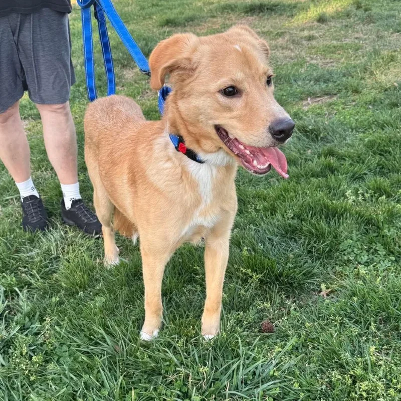 Tenderhoof thumbnail 6