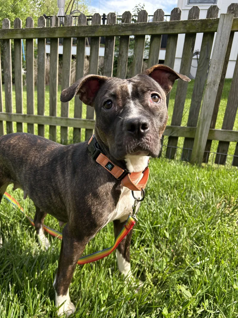 Marceline thumbnail 2