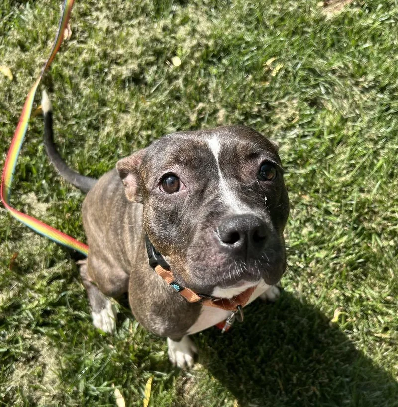 Marceline thumbnail 3