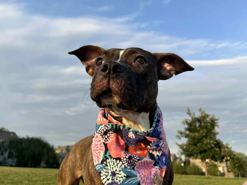 Marceline thumbnail 6