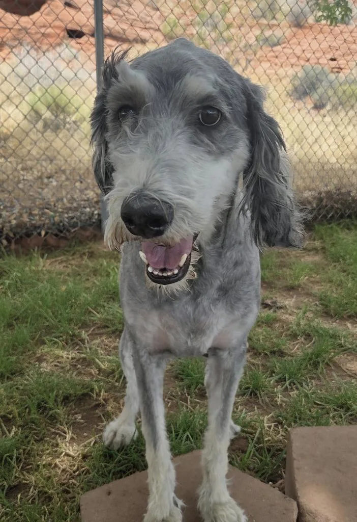 Coco