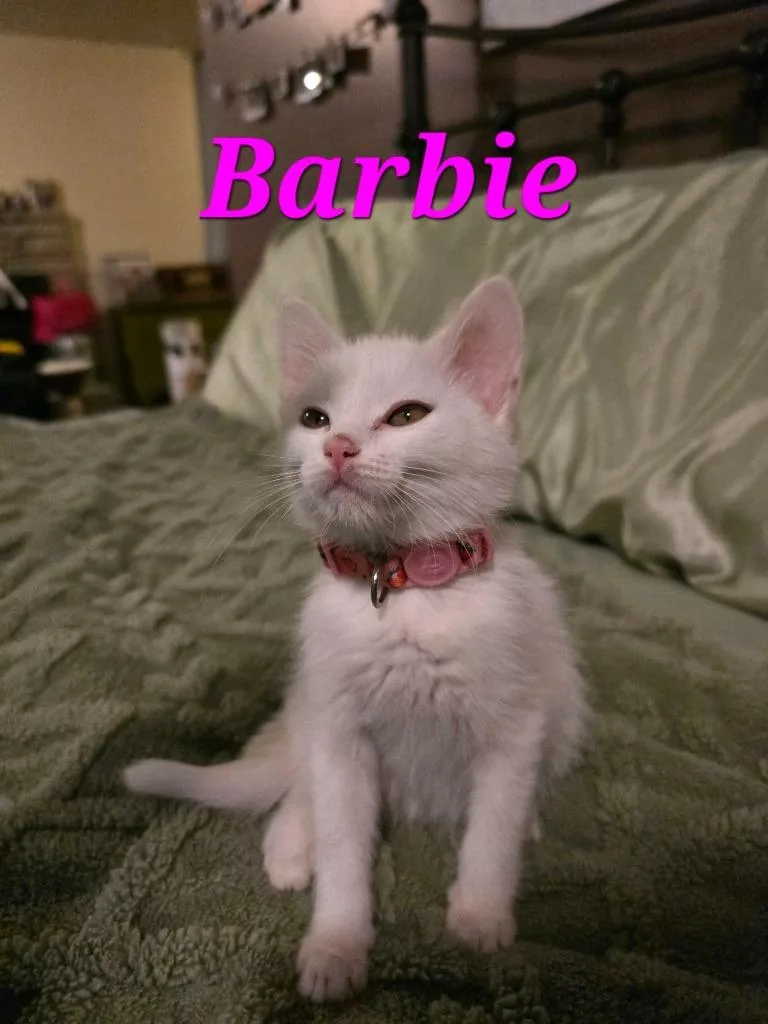 Barbie thumbnail 4