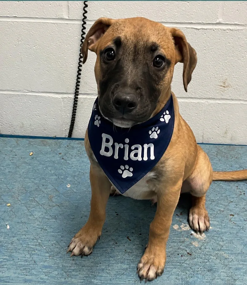Brian thumbnail 3