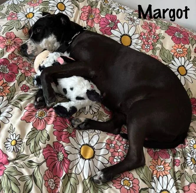 Margot thumbnail 2