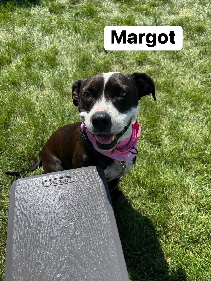 Margot thumbnail 4