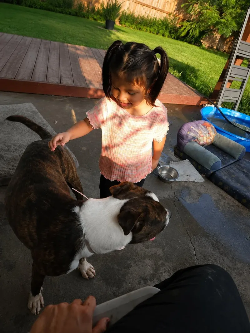 Sid Gs