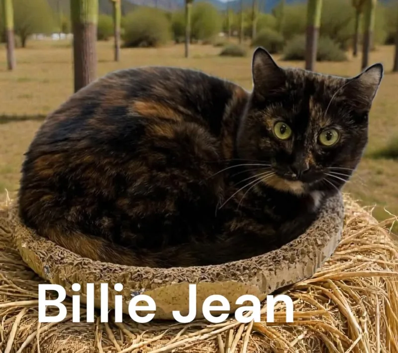Billie Jean thumbnail 2
