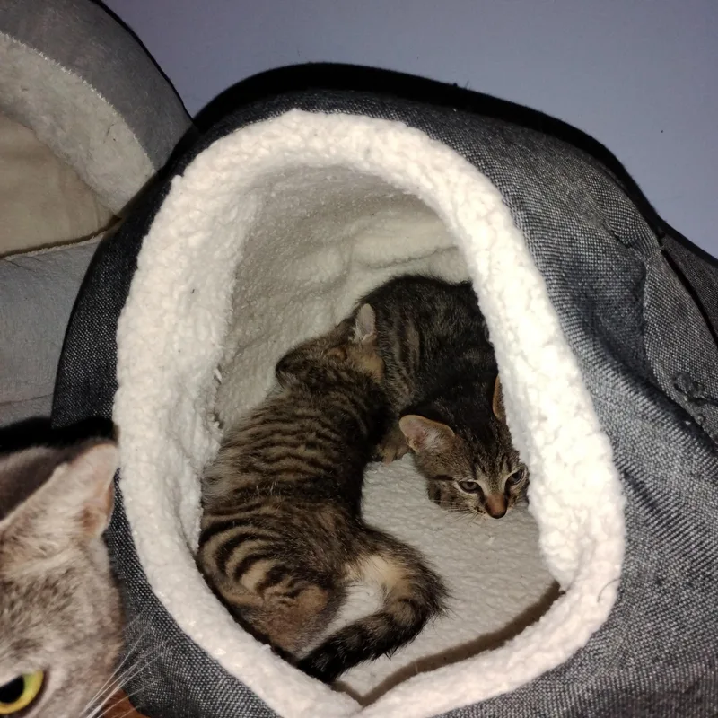 Eddie & Tania thumbnail 2
