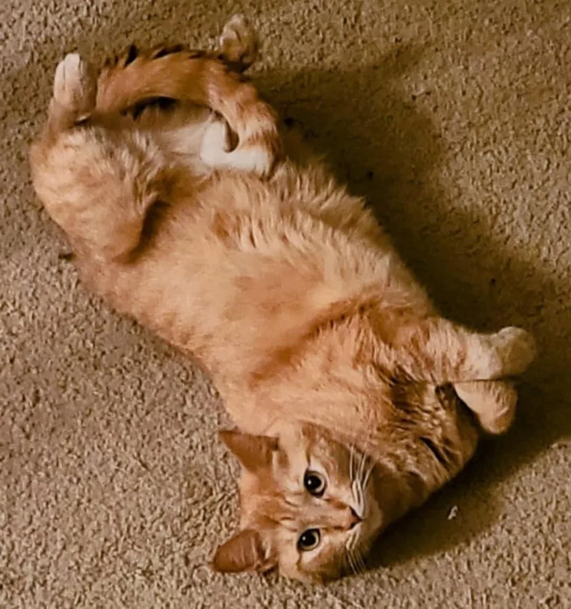 Mina And Fanta thumbnail 5