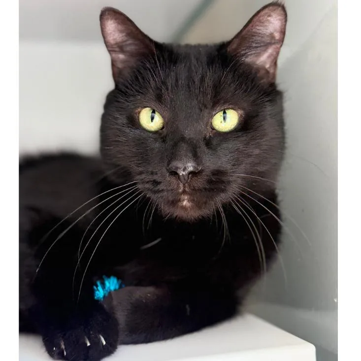 Sebastian thumbnail 2