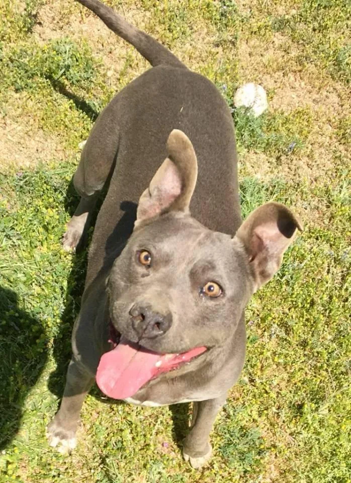 Cordelia thumbnail 2