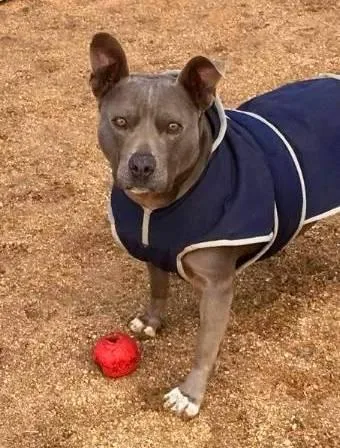 Cordelia thumbnail 3