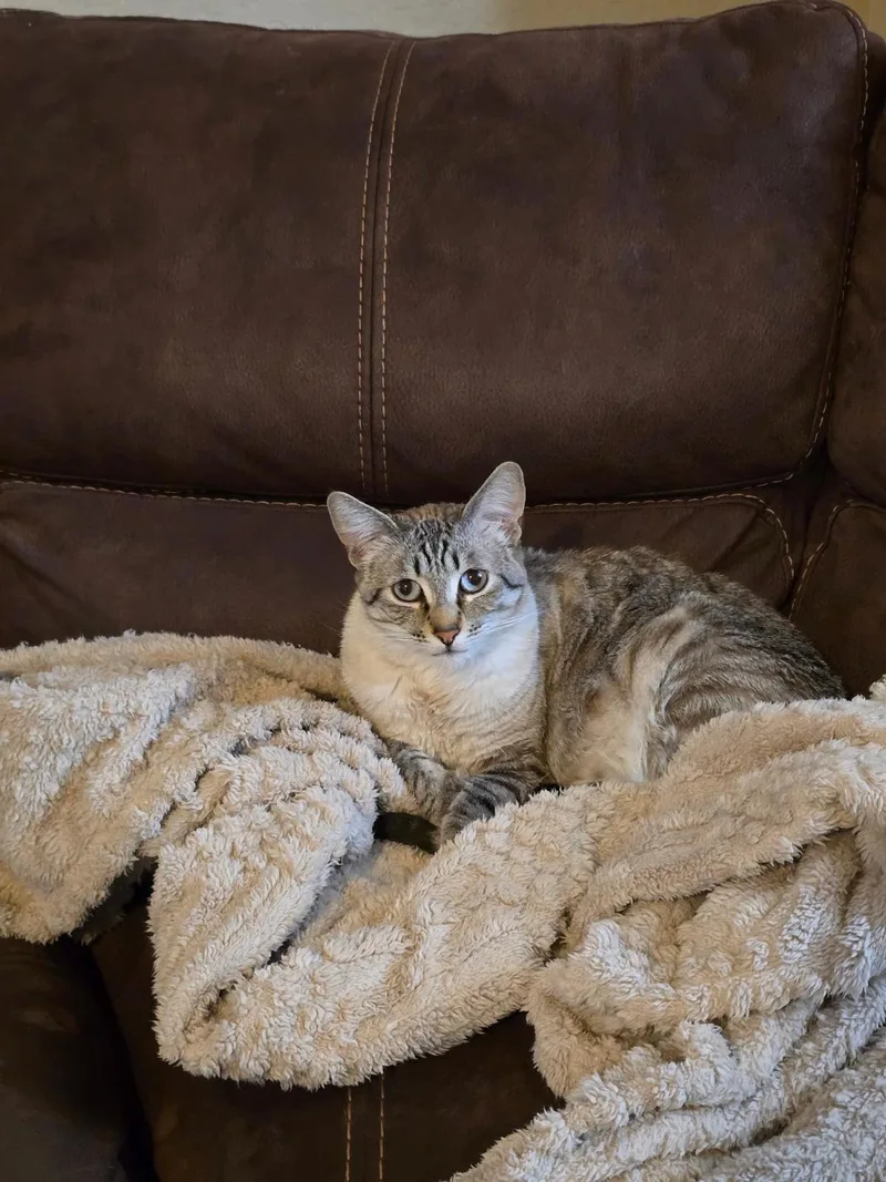 Florence Saint Marie thumbnail 2