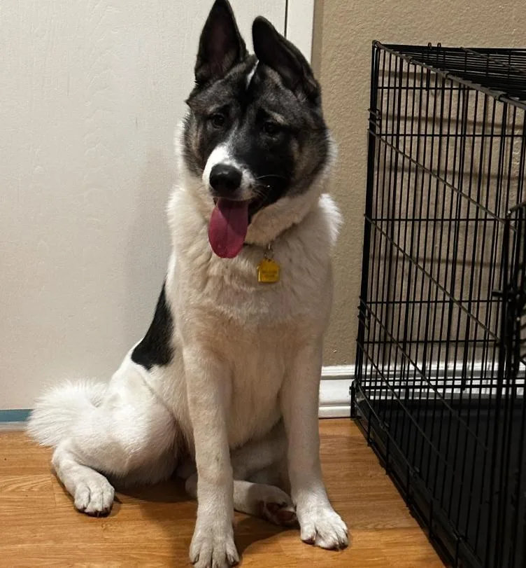 Alaska
