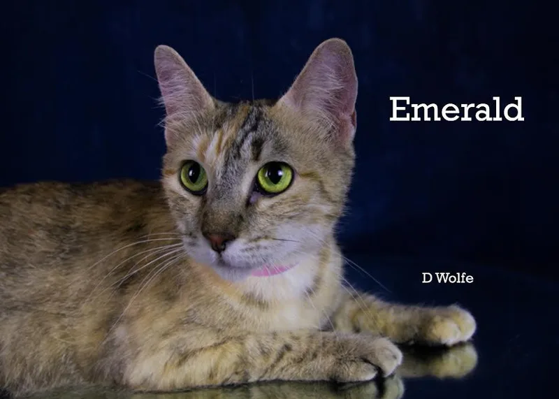 Emerald