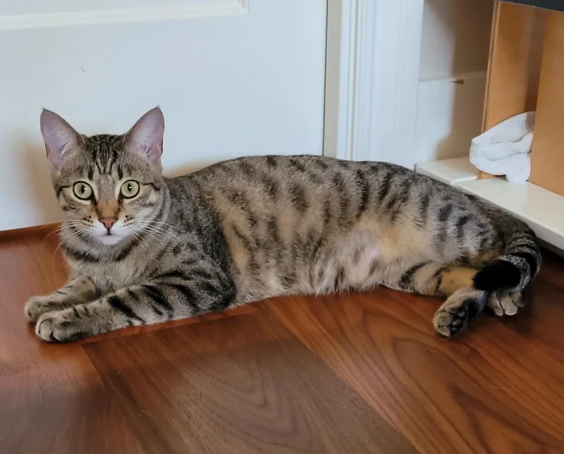 Mia & Missy thumbnail 2