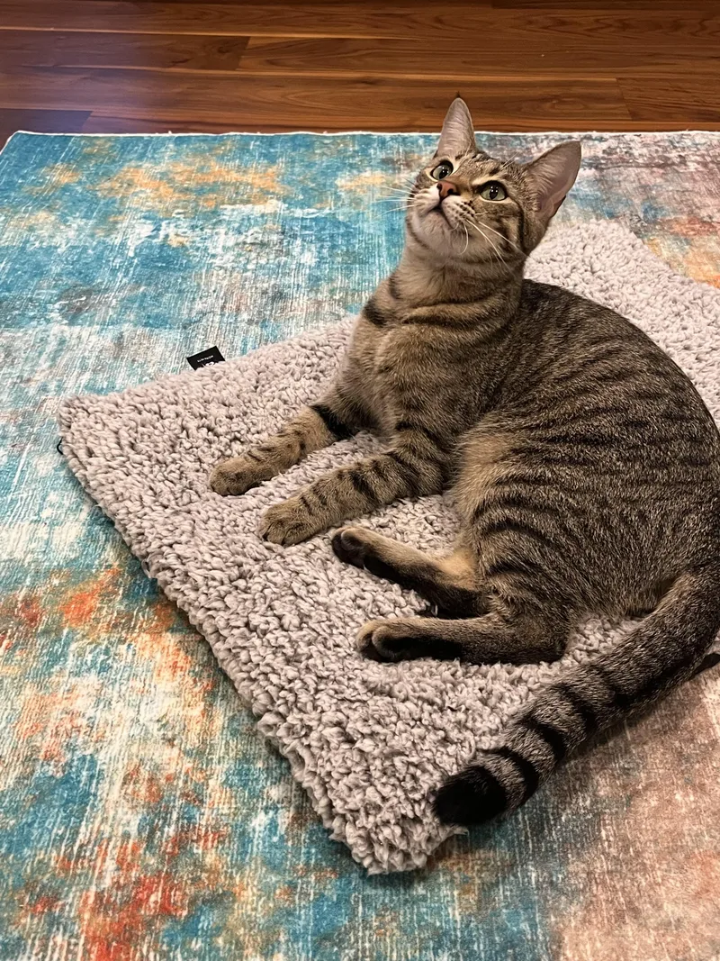 Mia & Missy thumbnail 3