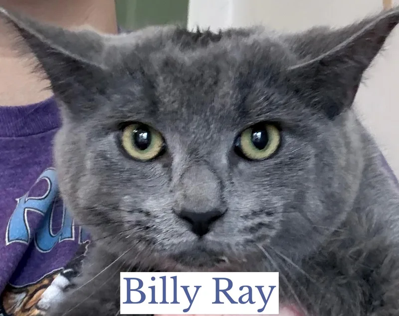 Billy Ray thumbnail 2