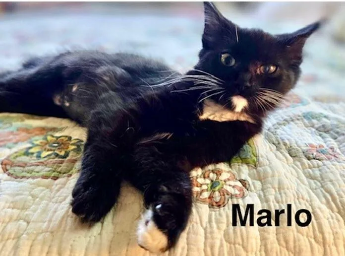 Marlo thumbnail 3