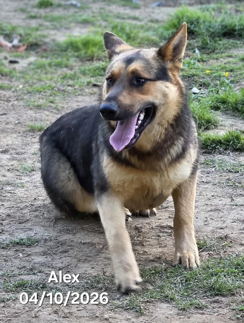 Alex thumbnail 5