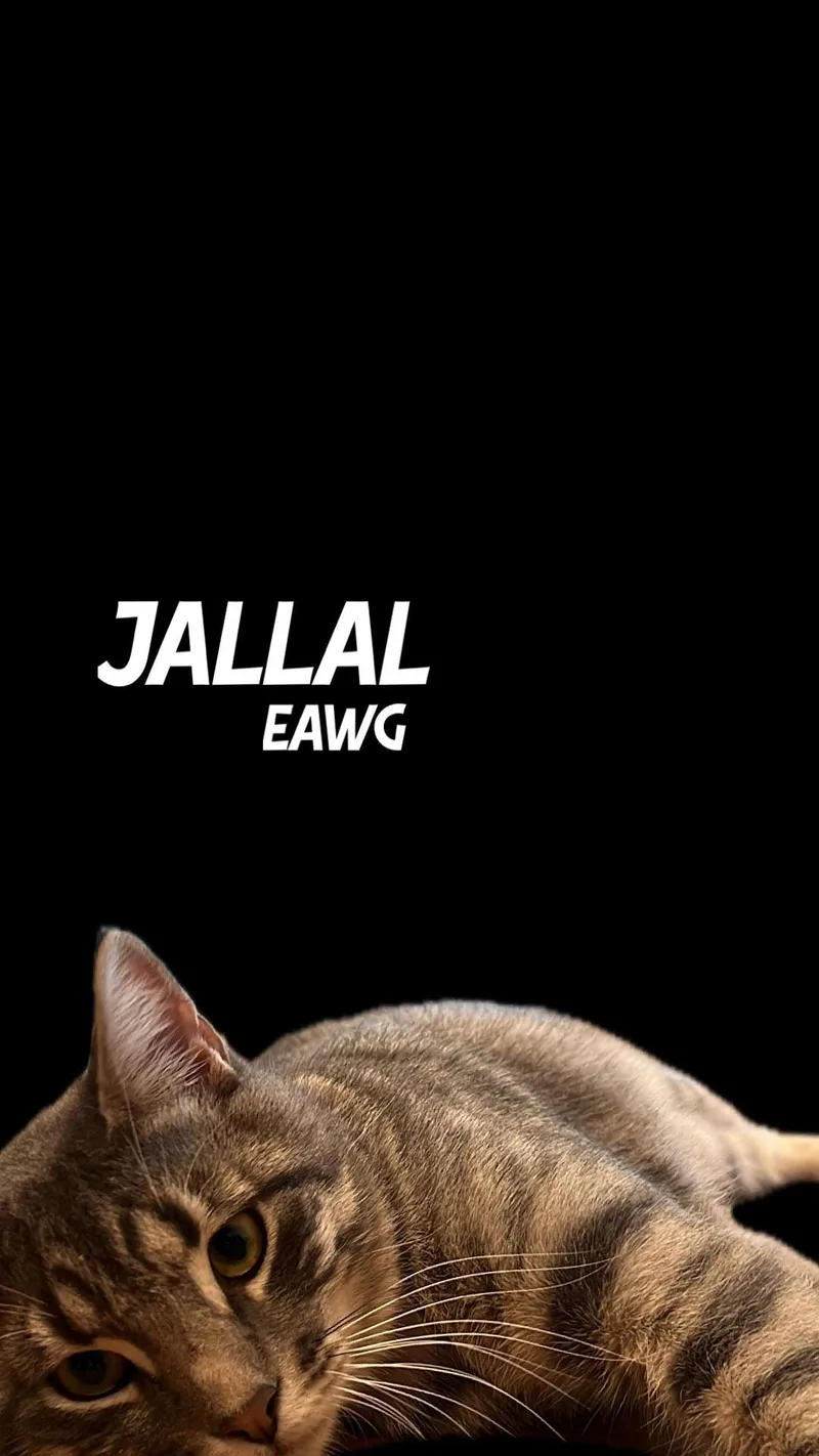 Jallal