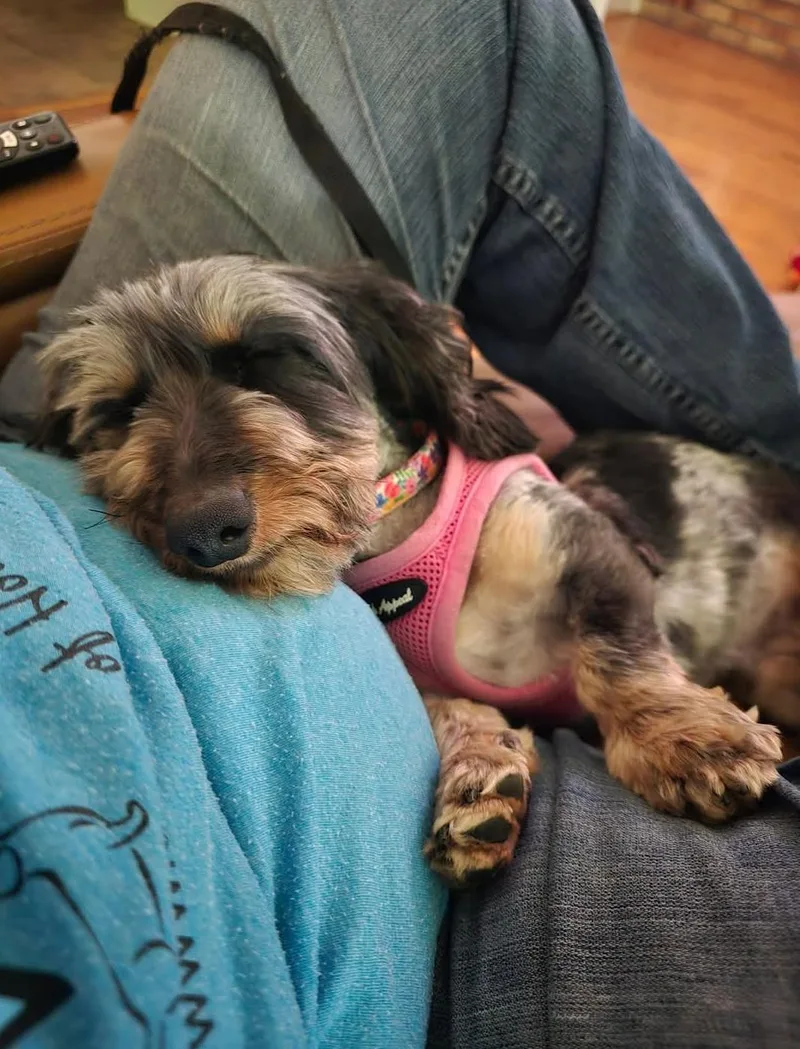 Lola thumbnail 3