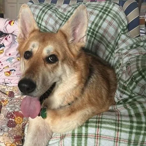 Skyla Mae thumbnail 2