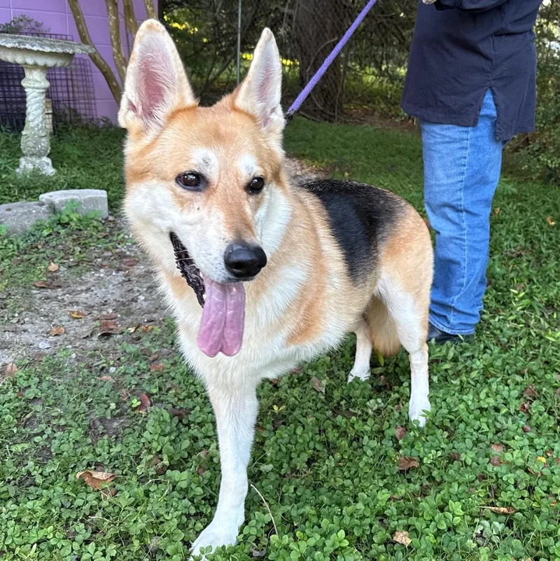 Skyla Mae thumbnail 3