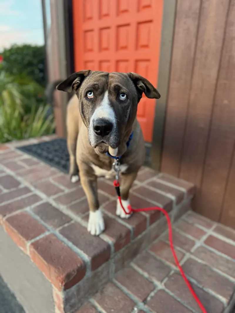 Kiki Cupcake thumbnail 2