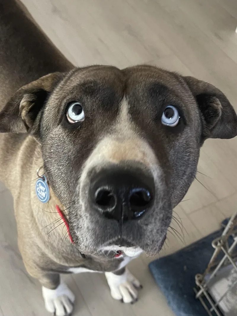 Kiki Cupcake thumbnail 3