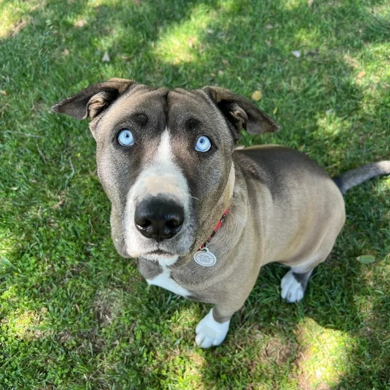 Kiki Cupcake thumbnail 4