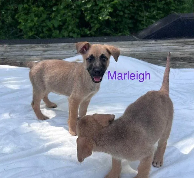 Marleigh thumbnail 2