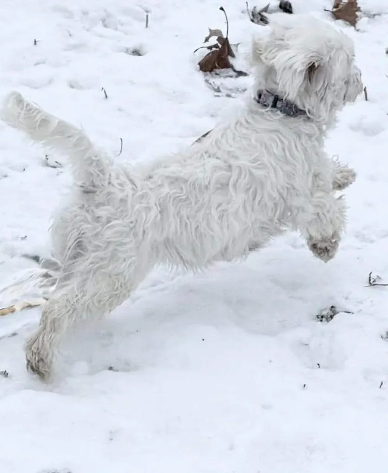 Marcella “marcy” thumbnail 2