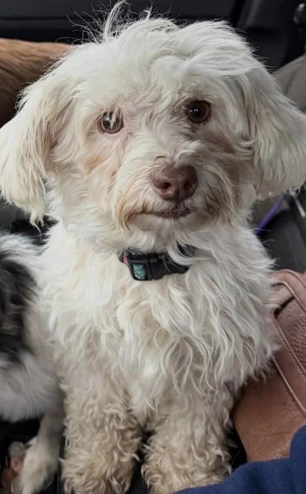 Marcella “marcy” thumbnail 3