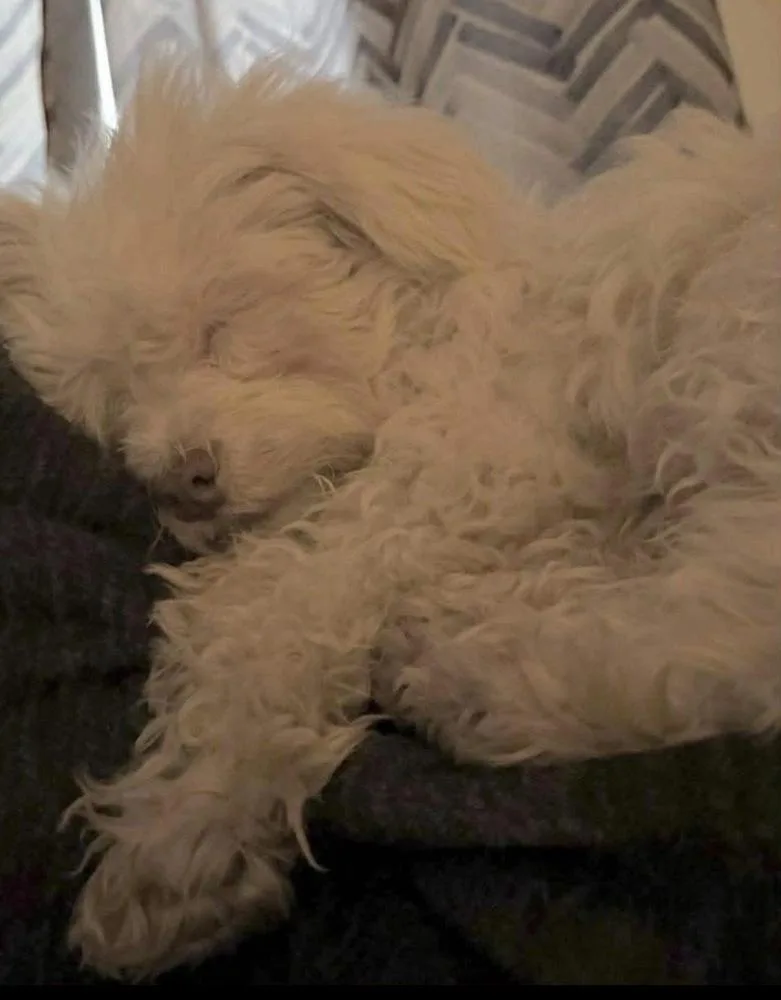 Marcella “marcy” thumbnail 4