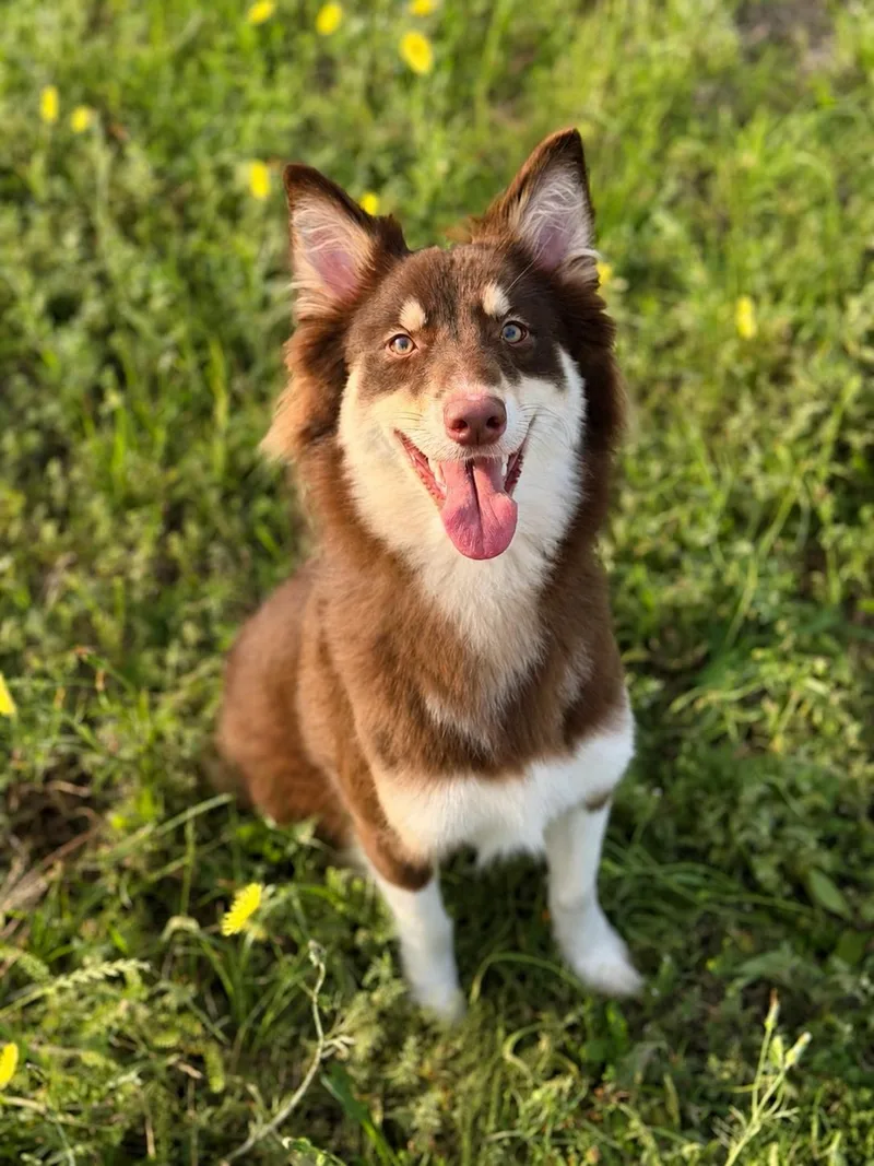 Julie