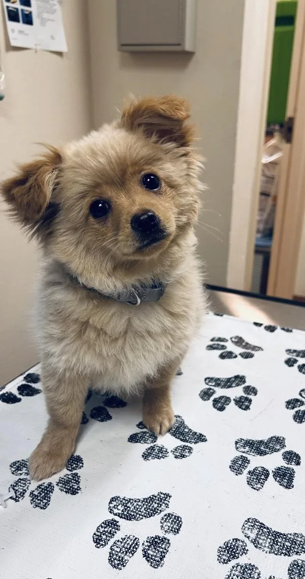 Milo