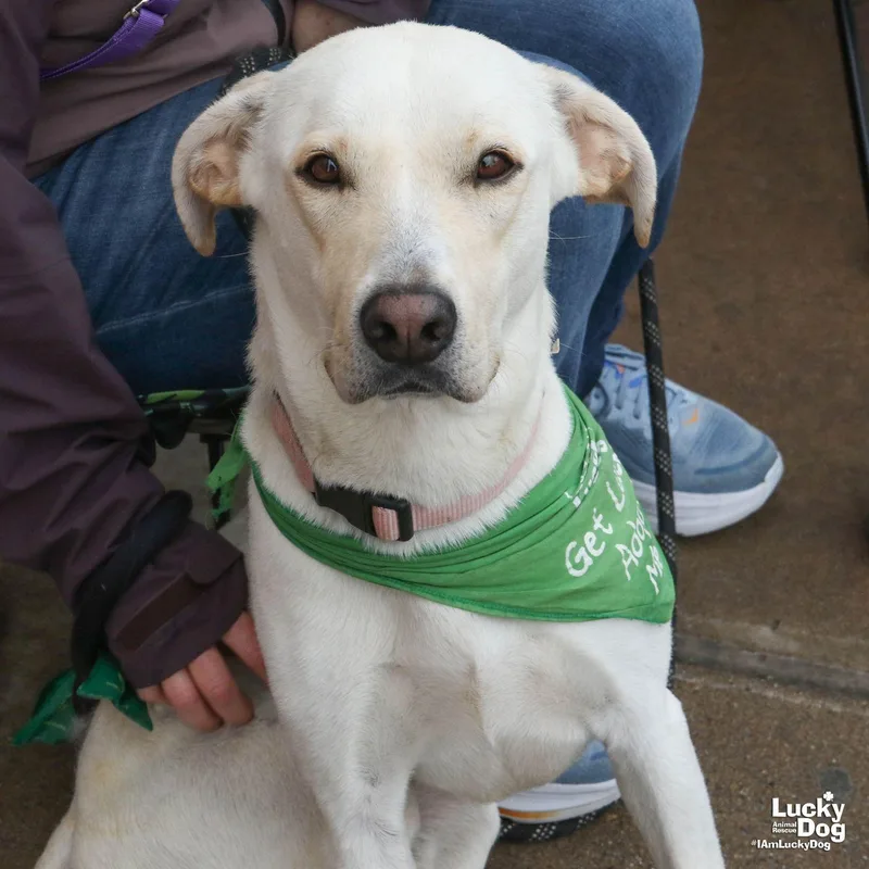 James Earl Bones thumbnail 2