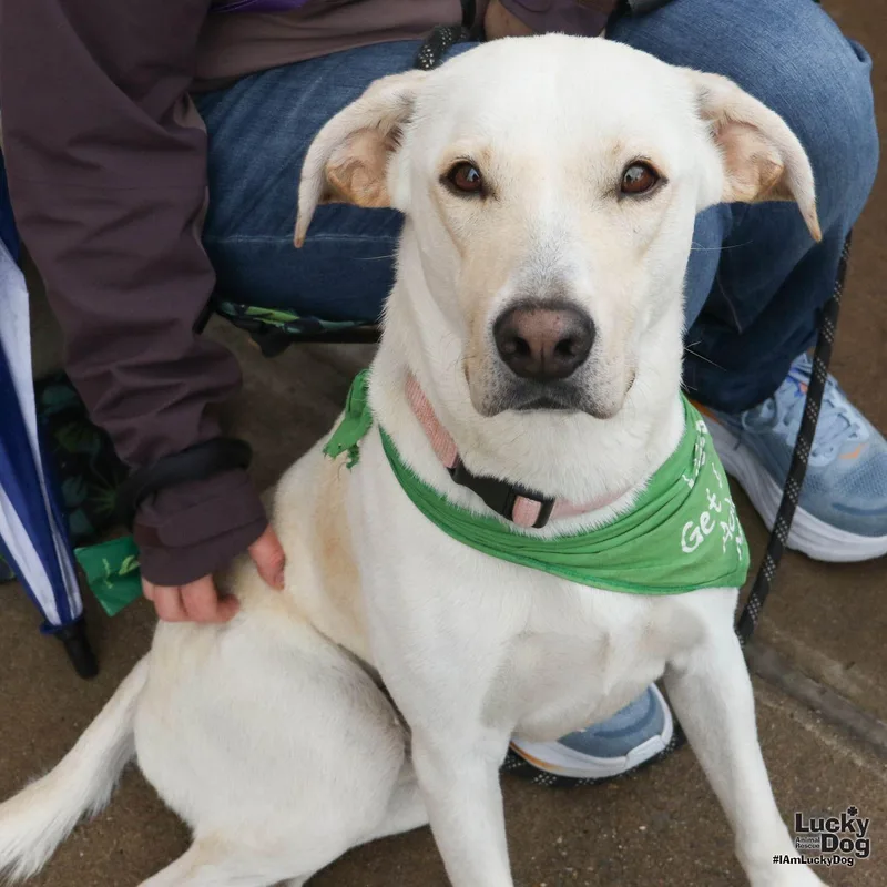 James Earl Bones thumbnail 3