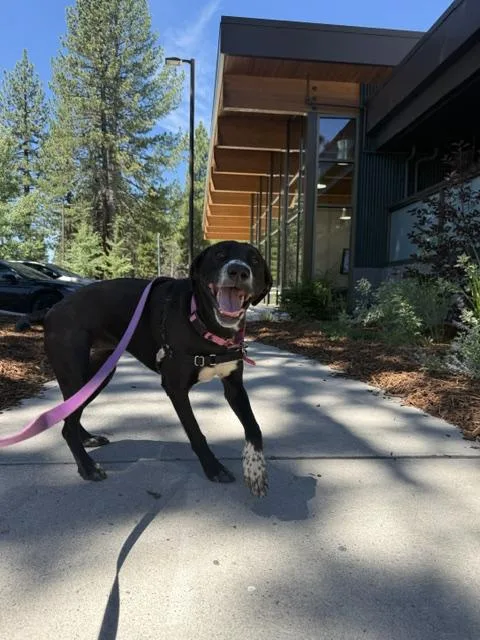 Zoey thumbnail 2