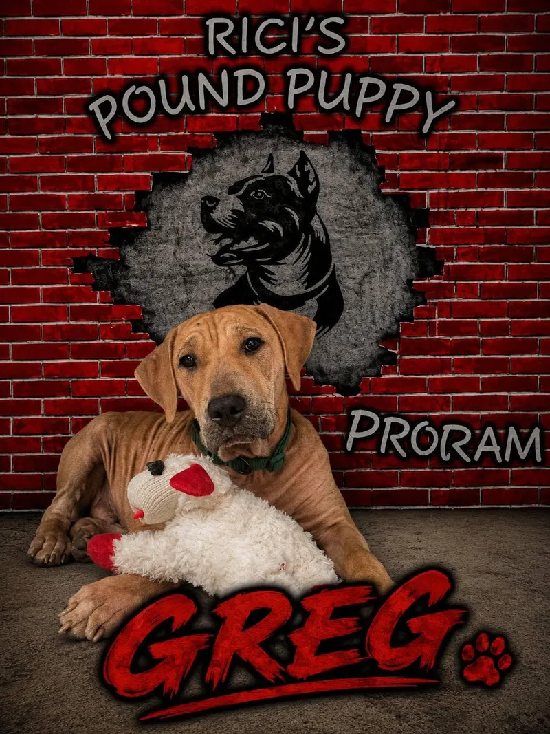 Greg
