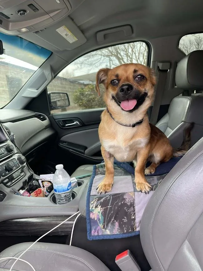 Beaufort thumbnail 3