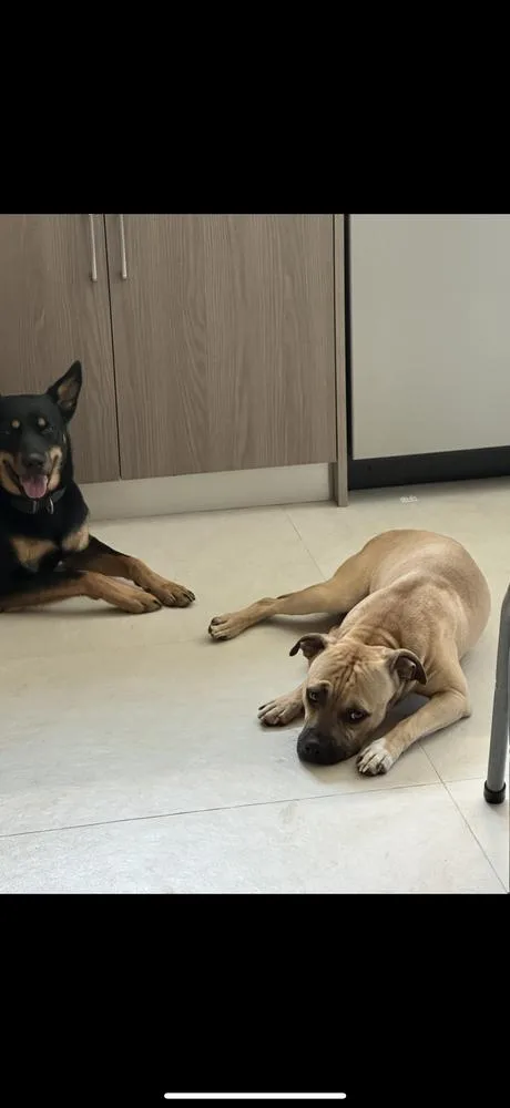 Jaxlil Bill thumbnail 4